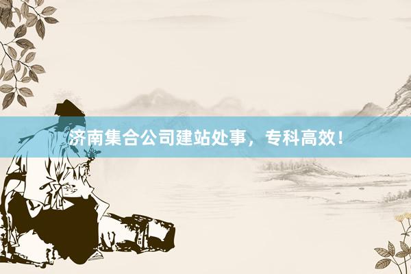 济南集合公司建站处事，专科高效！